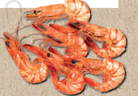 Bild Roberto Turchetto